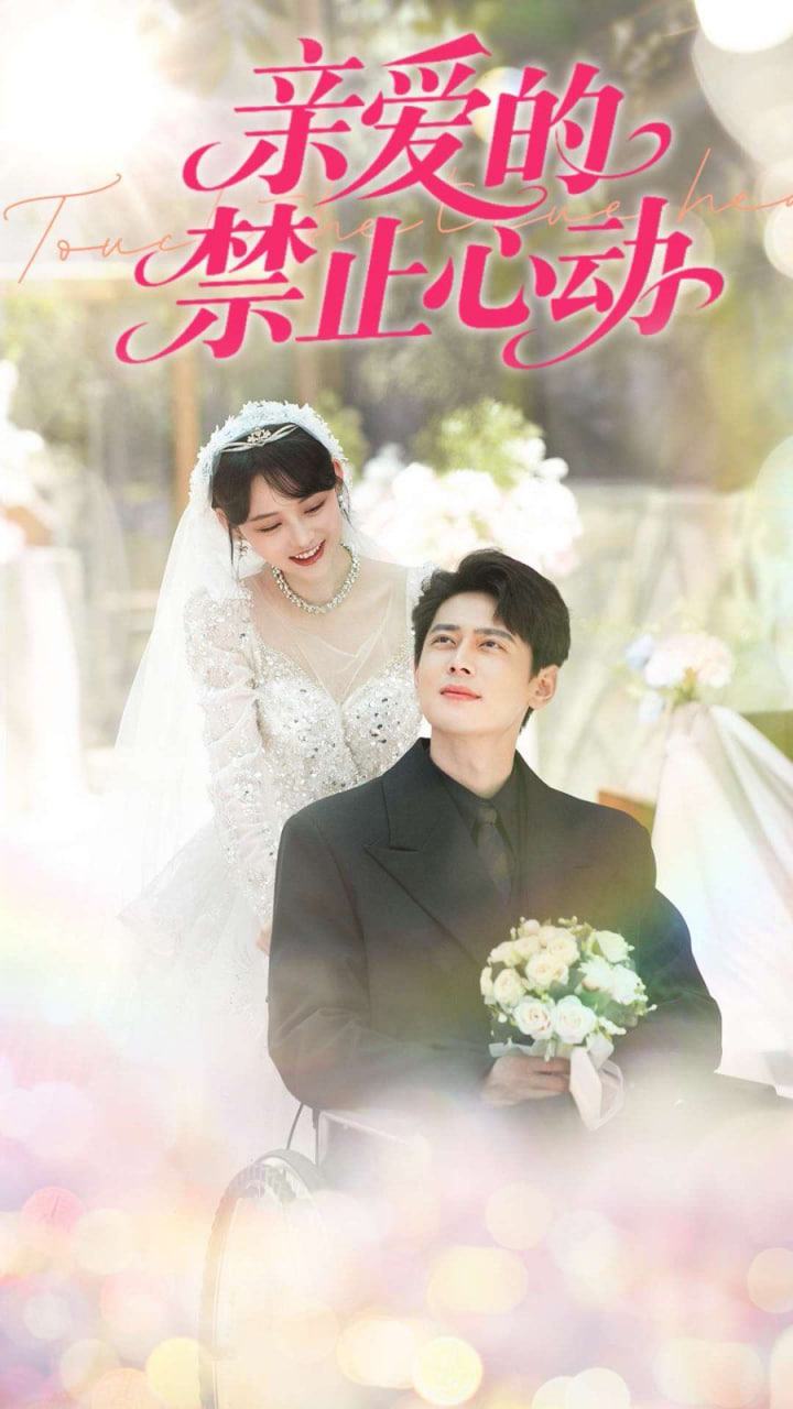亲爱的禁止心动