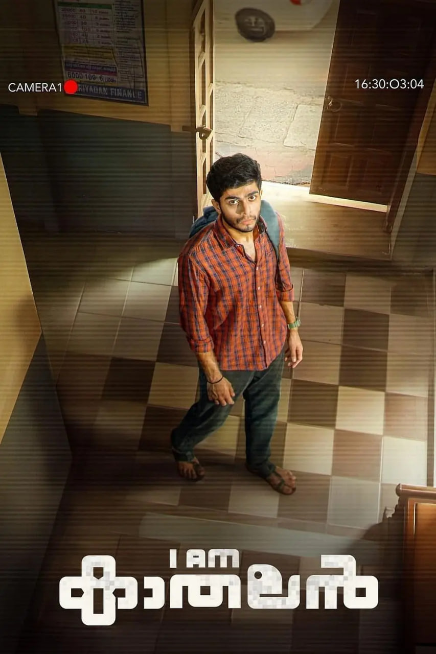 多情男孩,多情男孩电影