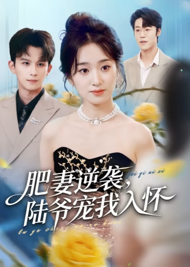 肥妻逆袭，陆爷宠我入怀