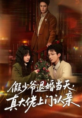 假少爷退婚当天，真大佬上门认亲
