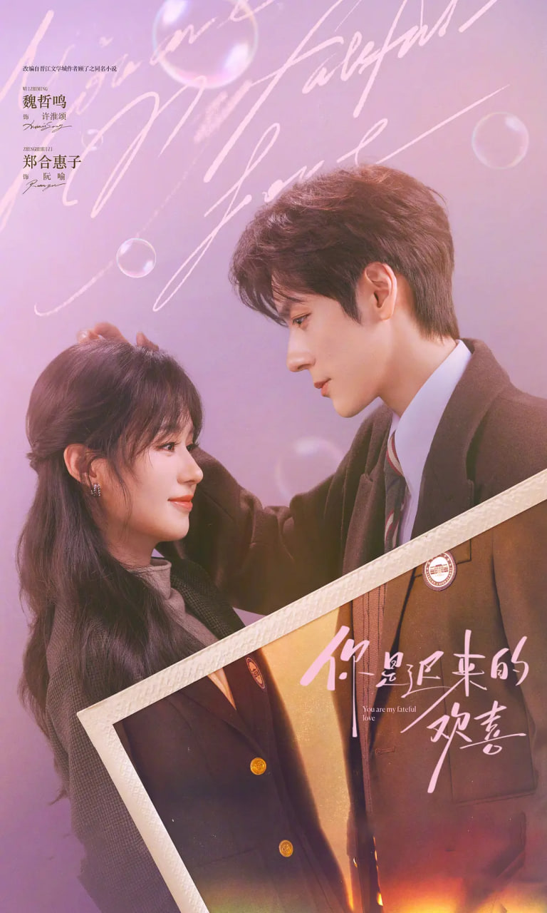 你是迟来的欢喜2026