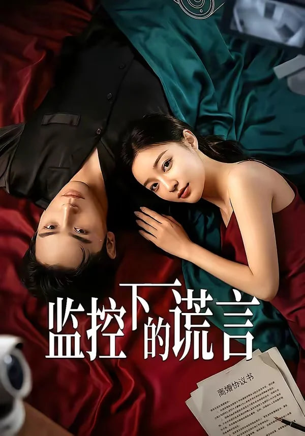 监控下的谎言