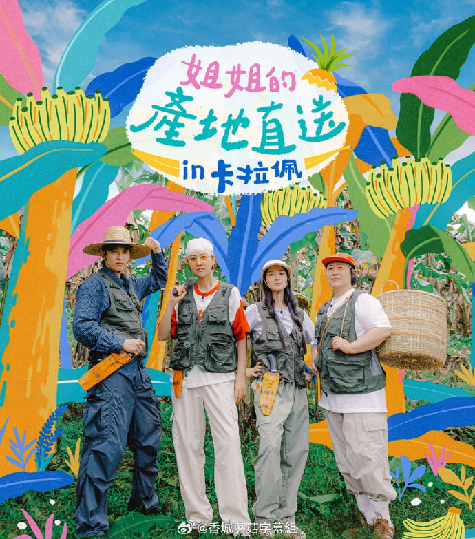 姐姐家的产地直送3,姐姐家的产地直送3电影