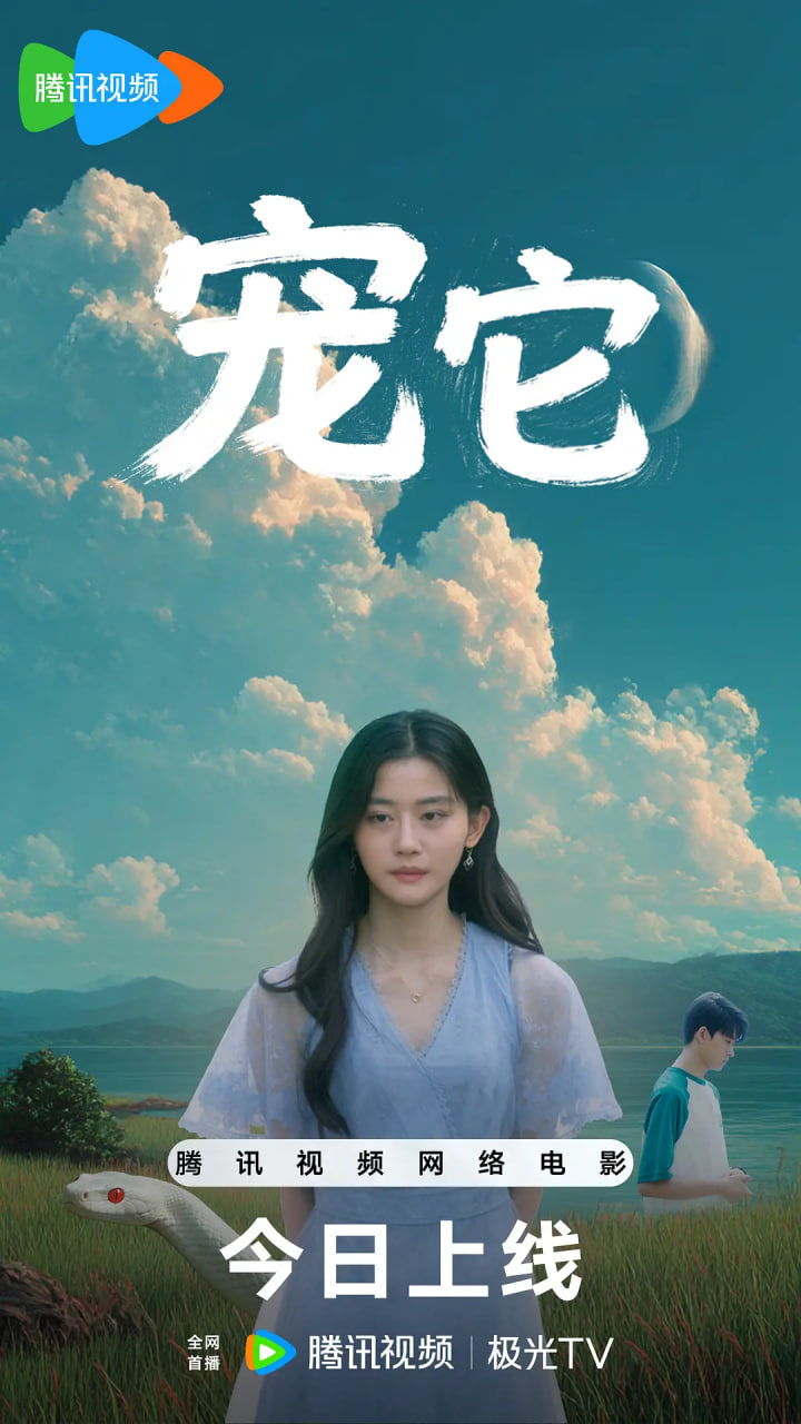 宠它 宠它