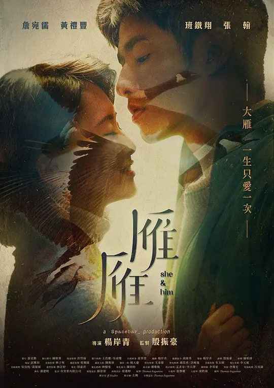 雁雁,雁雁电影
