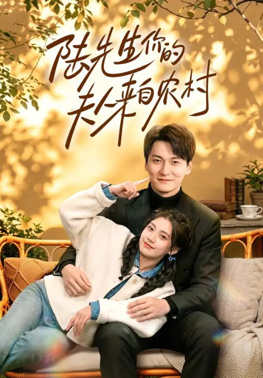 陆先生你的夫人来自农村