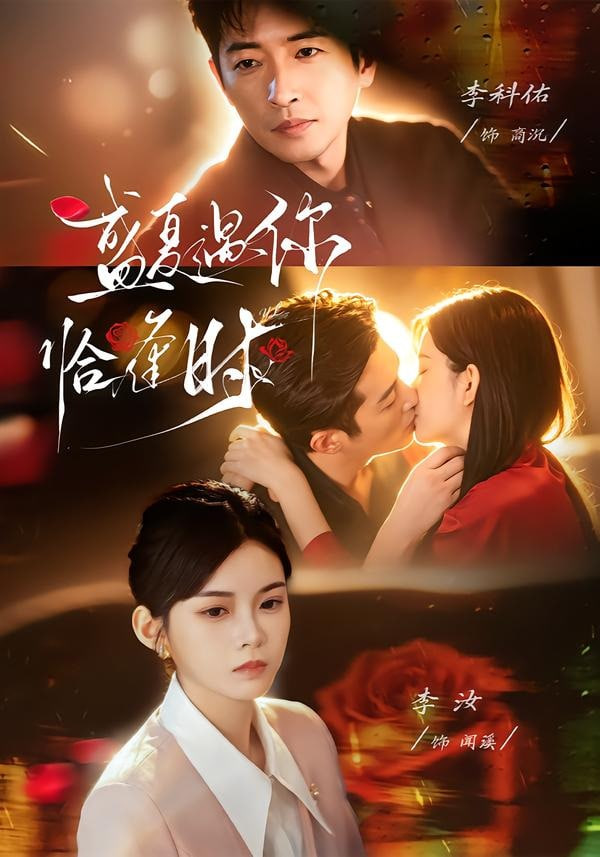 婚夜温柔（盛夏遇你恰逢时 ）