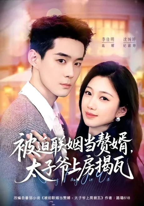 被迫联姻当赘婿，太子爷上房揭瓦