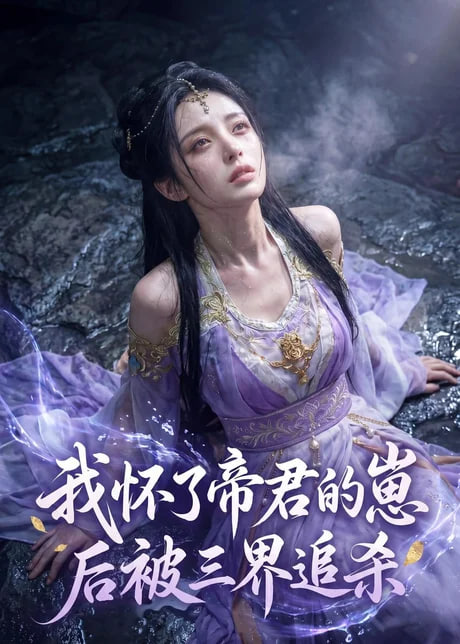 我怀了帝君的崽后被三界追杀